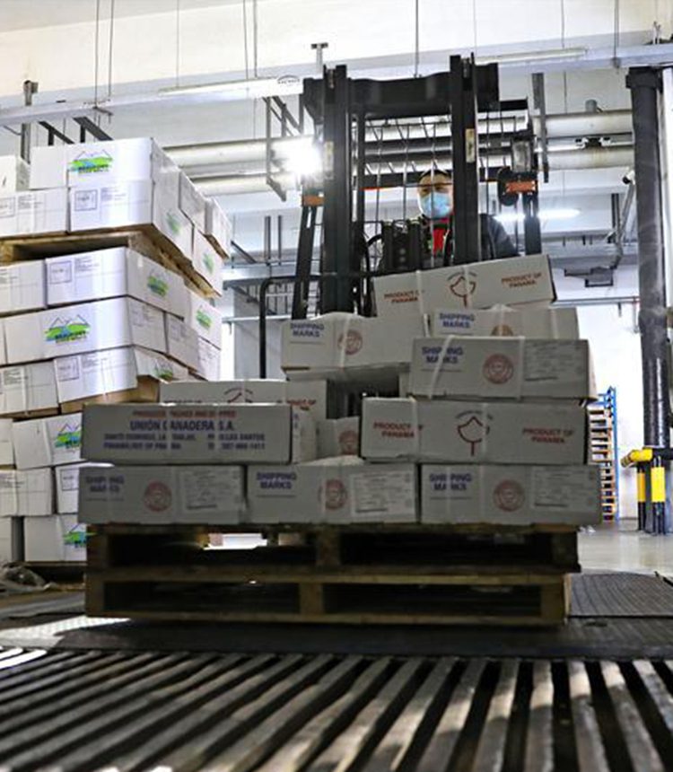 每日英语新闻：中国将加强对进口冷冻食品的检查，预防COVID-19