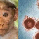 亚洲多国出现猴痘病例