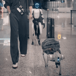 宇树科技机器人