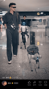 宇树科技机器人